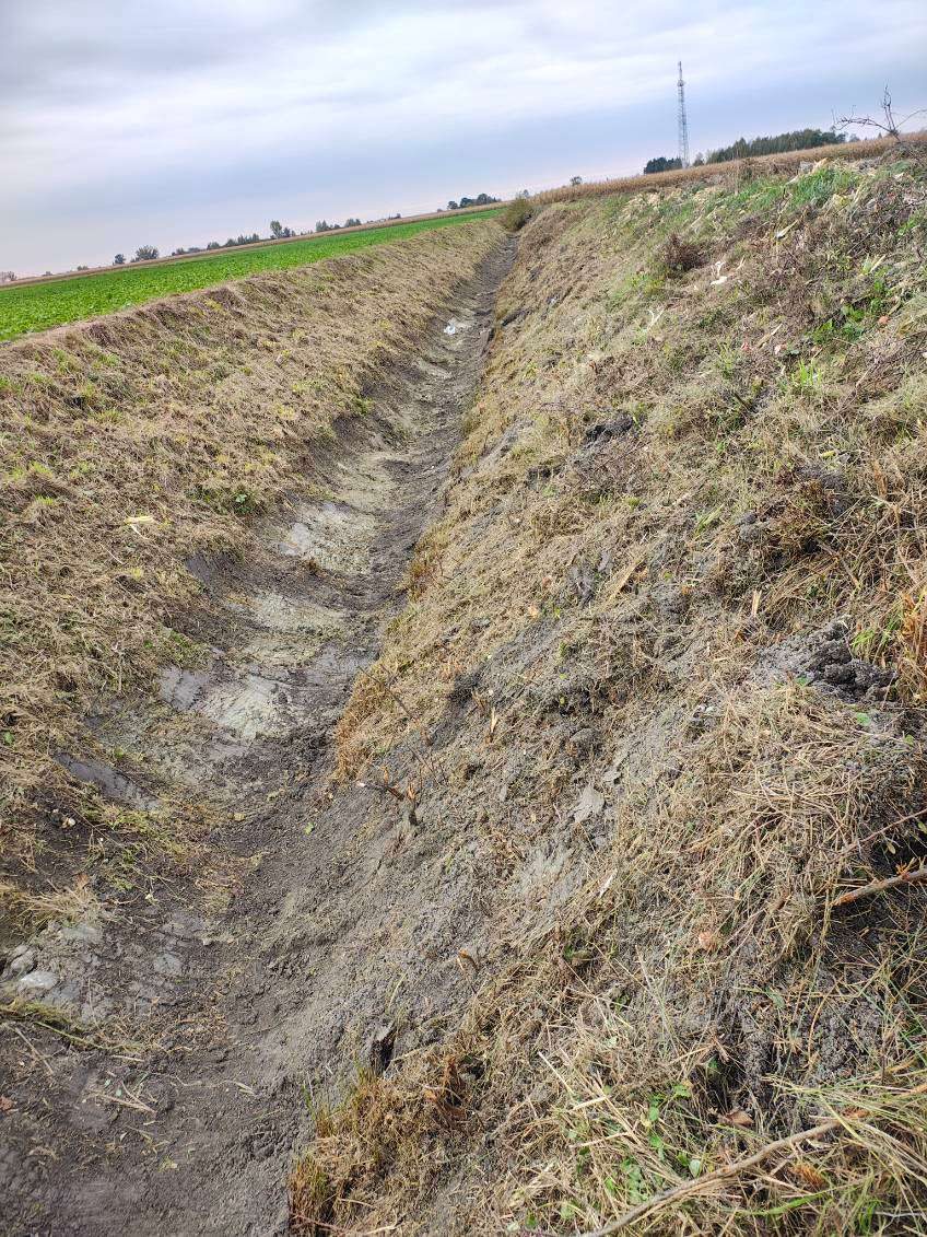 Rów Witoldów – Łanięta - po